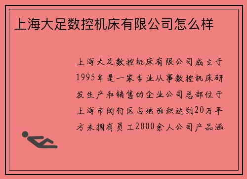 上海大足数控机床有限公司怎么样